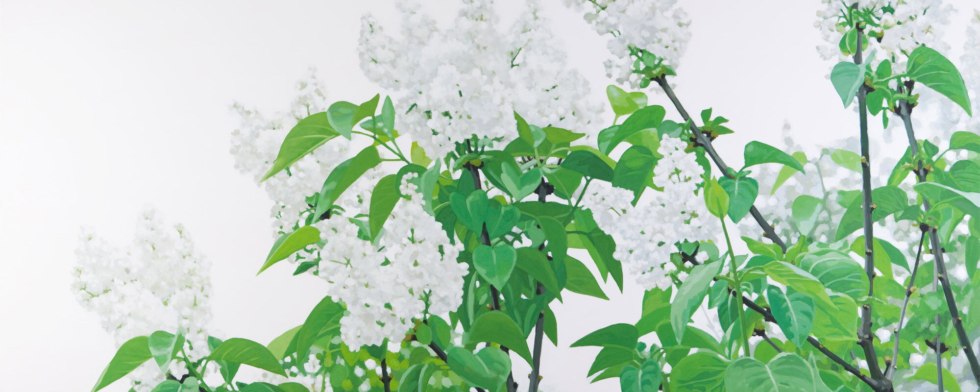 201081, o.T., Eitempera auf Leinwand, 100 x 240 cm